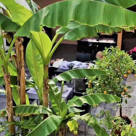 Hotel Restaurant & Einhorn Oppenweiler