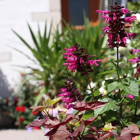 Hotel Restaurant & Einhorn 4*