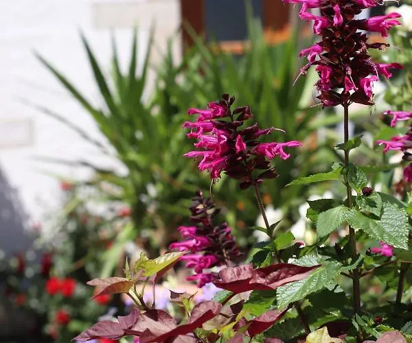 Hotel Restaurant & Einhorn 4*